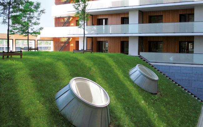 Green roof with pitched areas and skylights and flat areas with small trees